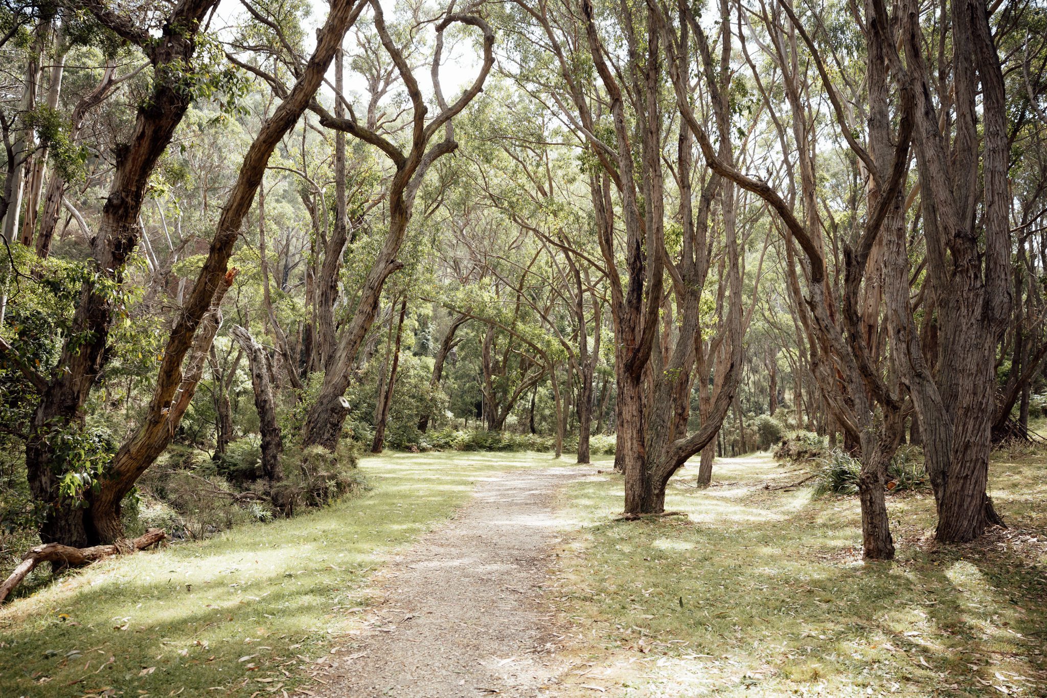 Micro wedding ceremony at Stony Creek waterfall, Lorne