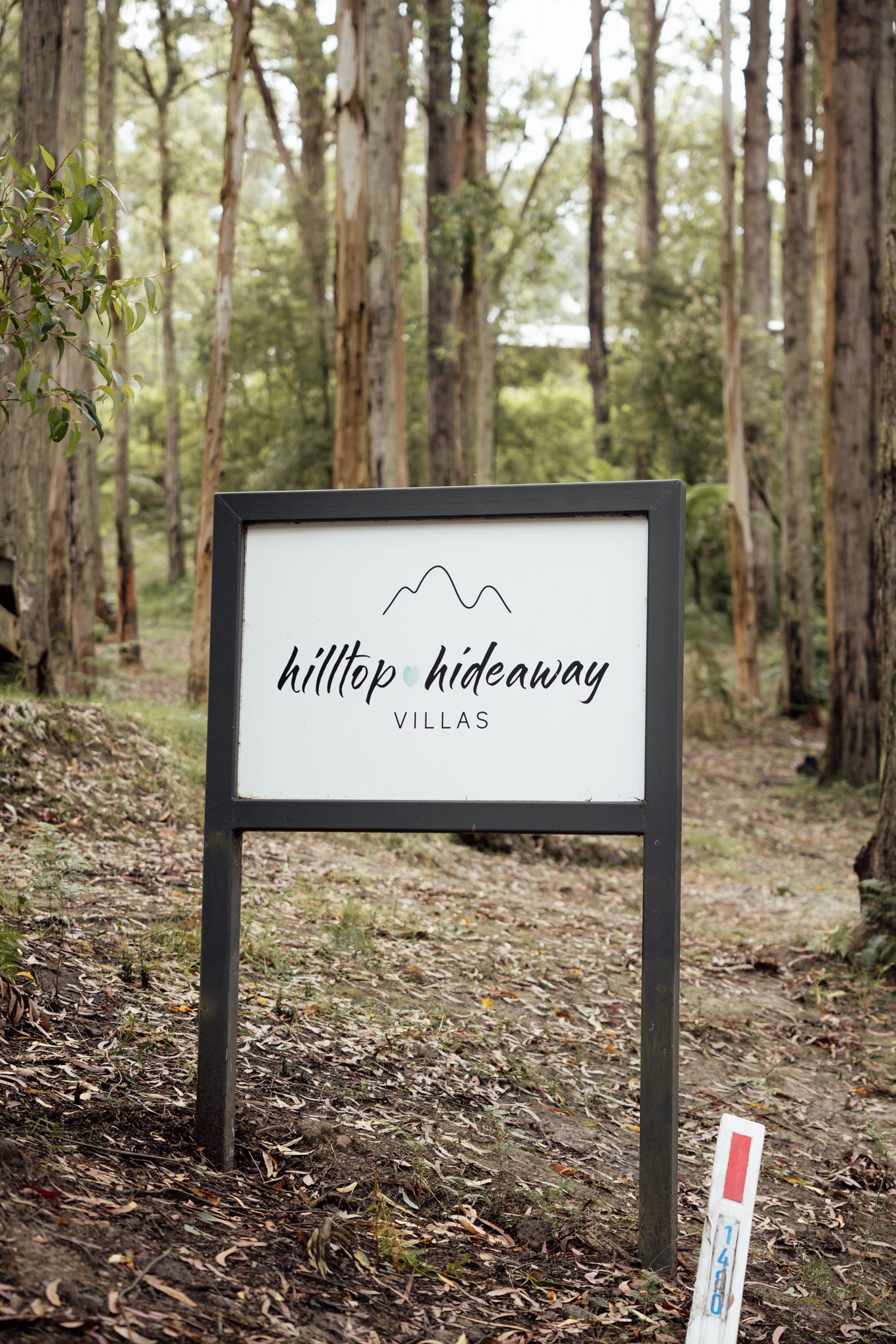 Outdoor micro wedding reception at Hilltop Hideaway Villas, Lorne